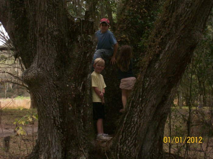 2012-Jan-02HGR4X4Croom 105